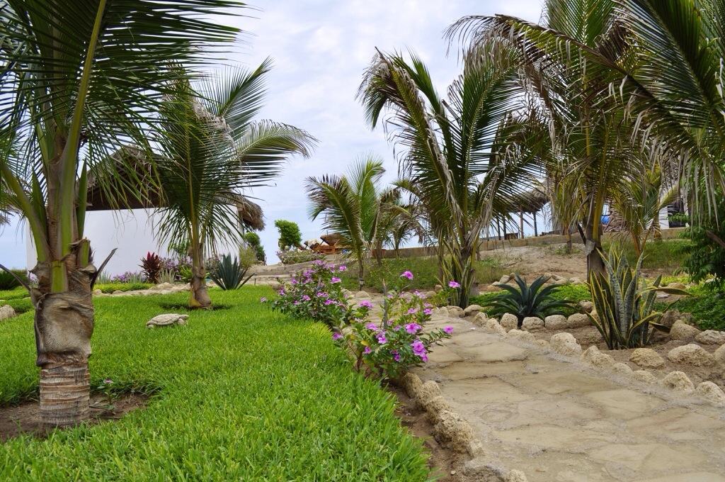 20140504-192619.jpg