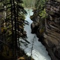Athabasca Falls