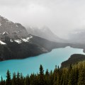 Peyto Lake