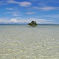 Virgin Island, Panglao