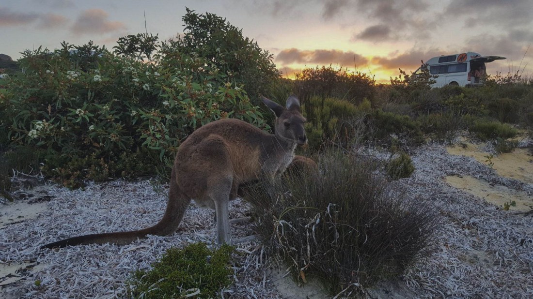 Lucky bay