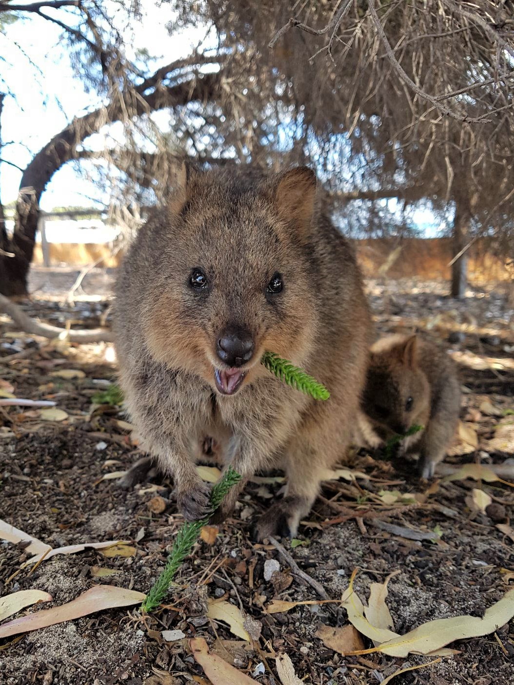 WhatsApp Image 2018-03-14 at 22.20.31 (8)